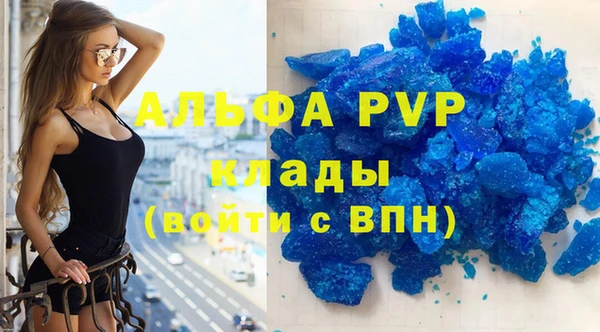 молекула духа Новозыбков