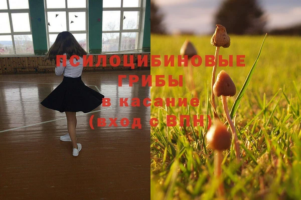 spice Армянск